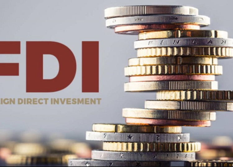 FDI Falls To 4% of Capital Inflows, Signaling Exclusion Of Real Investors 1 FDI