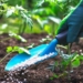 FG, Germany Launch $2.2m Project To Support Nigeria’s Soil Health