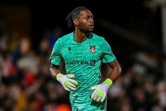 Super Eagles Spot Not Guaranteed, Peterside Warns New Recruit Okonkwo 1 Goal keeper