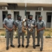PICTORIAL: Customs Intercepts Pangolins In Kano, Vows Crackdown On Illegal Wildlife Trafficking