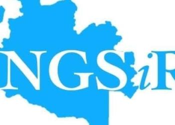 Niger IRS Denies Media Report On Alleged Irregularities, Defends Revenue Record