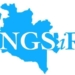 Niger IRS Denies Media Report On Alleged Irregularities, Defends Revenue Record
