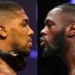 Boxing: Hearn Shuts Down Joshua, Wilder Showdown 5 Boxing: Hearn Shuts Down Joshua, Wilder Showdown