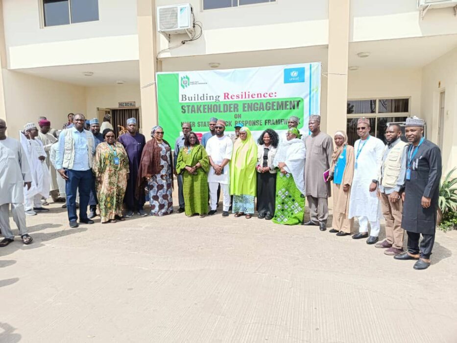 Niger Adopts Response Framework Against Emergencies