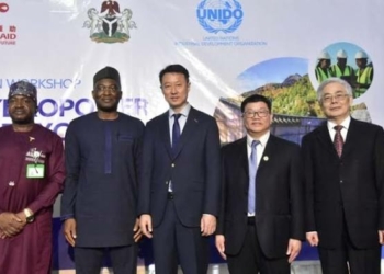 UNIDO Launches Hydropower Centre to Boost Nigeria’s Renewable Energy Drive