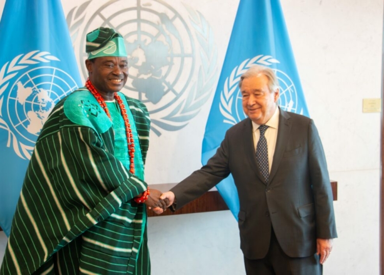 Tinubu'll Resolve 'Grievances' Fuelling Insecurity, Amb. Jimoh Ibrahim Tells UN As Guterres Receives New Envoy 1 Jimoh UN 1