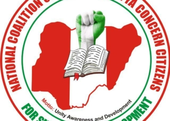Kwankwasiyya Petitions DSS Over Coordinated Cyber Harassment Campaign