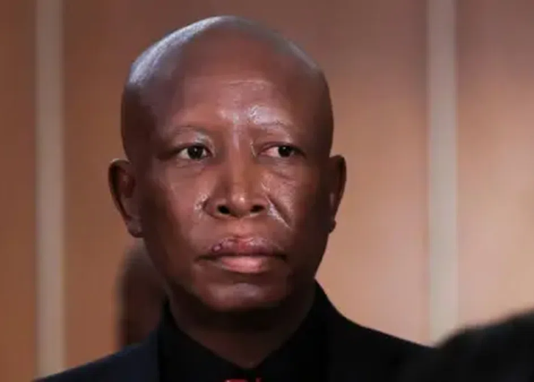 South Africa's Opposition Leader Julius Malema Risks Losing Parliamentary Seat 1 MALEMA
