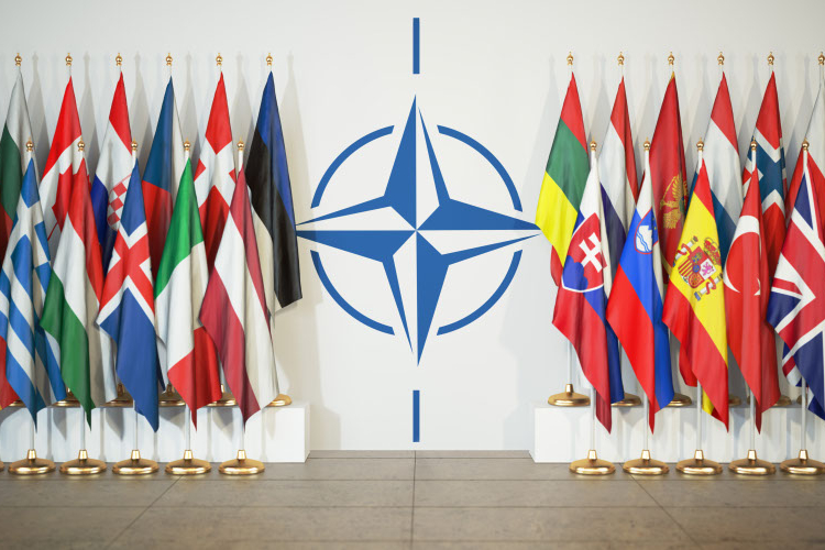 NATO Allies Refuse To Join Trump's Strait Of Hormuz Blockade 1 NATO