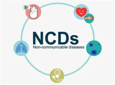 Stakeholders Push For Multi-sectoral Funding To Combat NCDs 1 NCDs