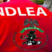 NDLEA Arrests Suspected Drug Dealer After Escape Attempt In Kano