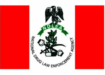 NDLEA Seizes 125 Bags Of Skunk In Raid Of Drug Warehouse
