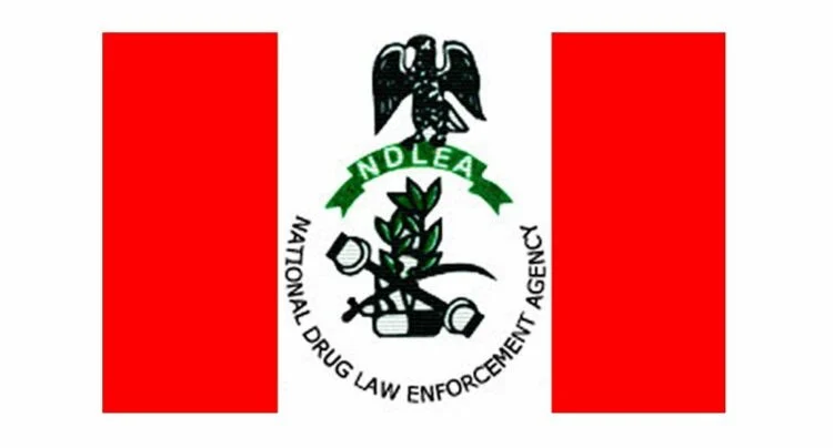 NDLEA 1 768x404 1