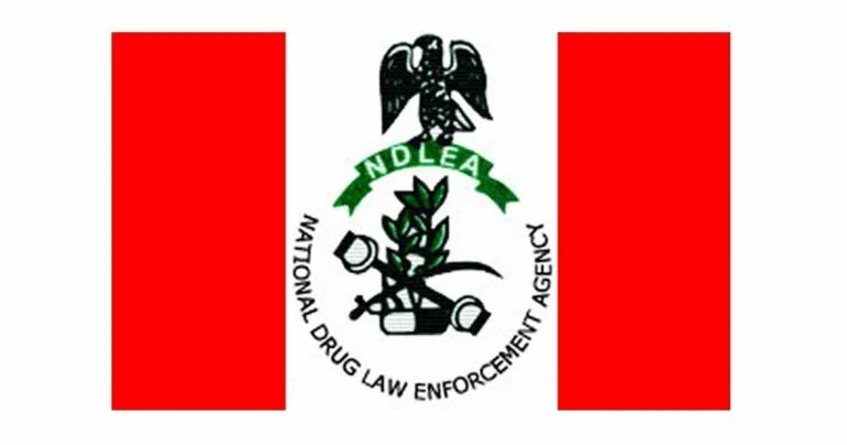 11 Drug Kingpins Get 254-Year Jail Term As NDLEA Secures 974 Convictions