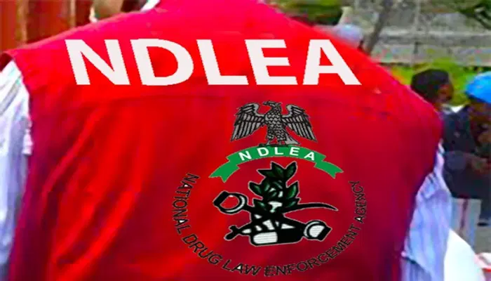 NDLEA Arrests Suspected Drug Dealer After Escape Attempt In Kano