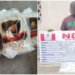 NDLEA Intercepts Deadly Drug ‘Captagon’ In Kwara