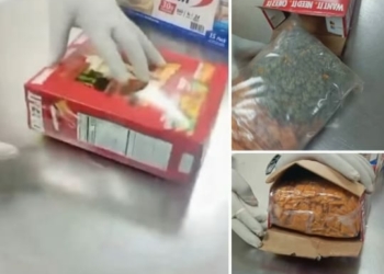 NDLEA Warns Nigerians Against Receiving Unverified Packages From Abroad