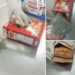 NDLEA Warns Nigerians Against Receiving Unverified Packages From Abroad 5 NDLEA Warns Nigerians Against Receiving Unverified Packages From Abroad