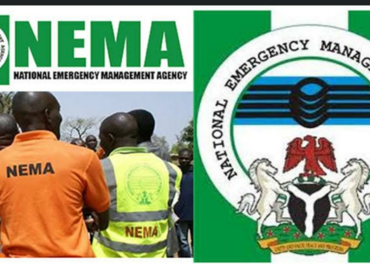 NEMA Concludes Impact Assessment Of Windstorm Disaster In Enugu Communities 1 NEMA