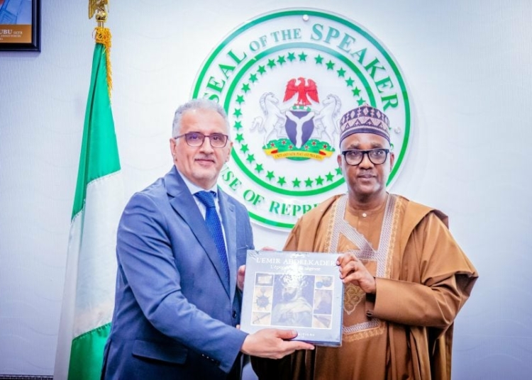 Speaker Tajudeen Initiates Nigeria-Algeria Power, Education Collaborations 1 Nigeria Algeria