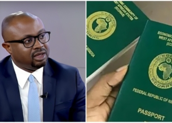 Why Nigeria Will Withdraw Passports From Persons Who Renounced Citizenship — Minister