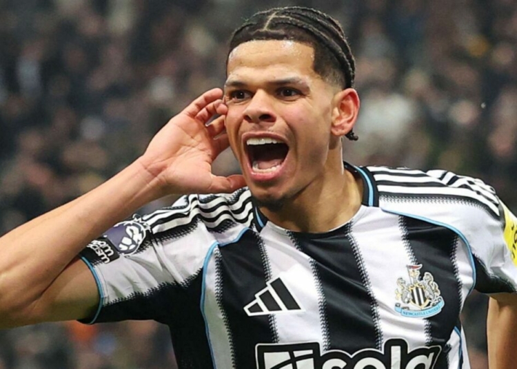 NFF Moves To Convince Newcastle Striker To Play For Super Eagles 1 Osula