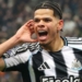 NFF Moves To Convince Newcastle Striker To Play For Super Eagles