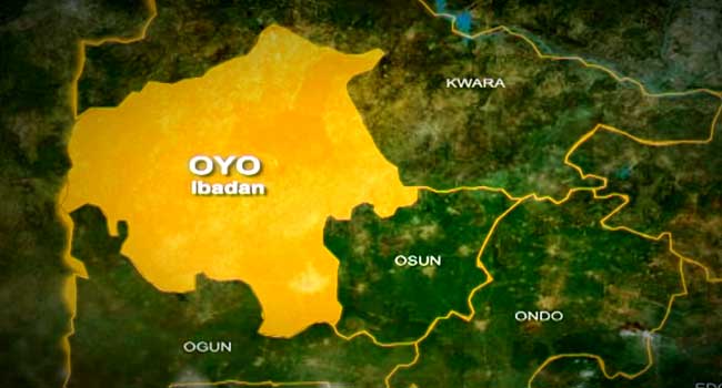 Man Dies After Elephant Attack In Oyo Community