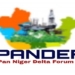 Regional Leaders To Blame For Rising Insecurity In Nigeria – PANDEF 5 Regional Leaders To Blame For Rising Insecurity In Nigeria – PANDEF