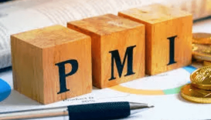 Private Sector Growth Slips As PMI Contracts To 49.4 1 PMI 1