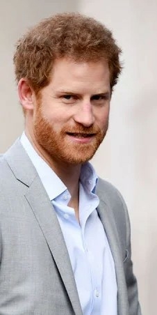 "It Killed My Mother" — Prince Harry Reveals Lifelong Reluctance Toward Royal Duties 1 Prince Harry