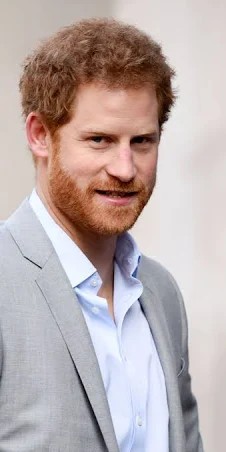 “It Killed My Mother” — Prince Harry Reveals Lifelong Reluctance Toward Royal Duties