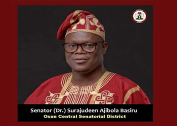 We Can’t Undermine Democracy Without Evidence — Ajibola Basiru