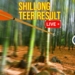 Shillong Teer Result Today – Result Analysis, Data Trends, Charts & Insights 5 Shillong Teer Result Today – Result Analysis, Data Trends, Charts & Insights