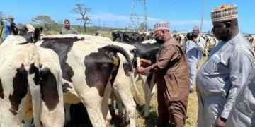 Jigawa Approves N3.3bn For Dairy Production Project 3 Federal Govt, Firm Pick Taraba For Livestock Production, Academy