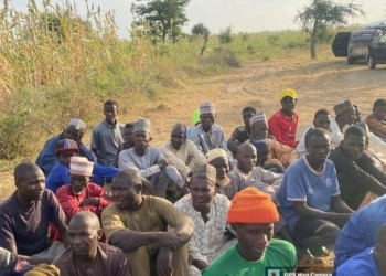 Troops Arrest Over 20 Terrorists, Rescue Kidnap Victims, Foil Attempts