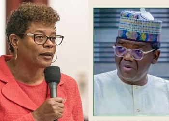 US-based Nigerians Knock Florida Lawmaker Over Call For Matawalle’s Removal