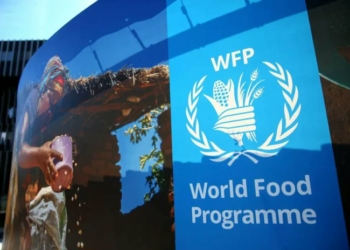 World Food Programme Spends N7bn On Nigeria Social Protection