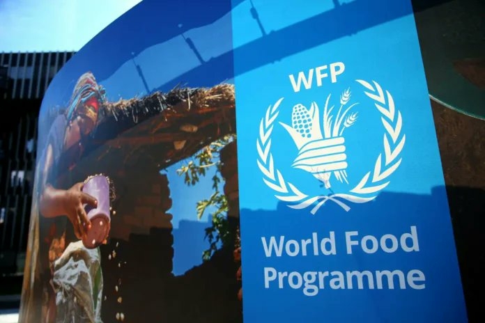 World Food Programme Spends N7bn On Nigeria Social Protection 1 WFP