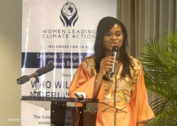 EU, Investment Experts Decry Poor Funding For Women-led Green Businesses