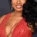 Megan Thee Stallion Hospitalised After Falling ill During Broadway Performance