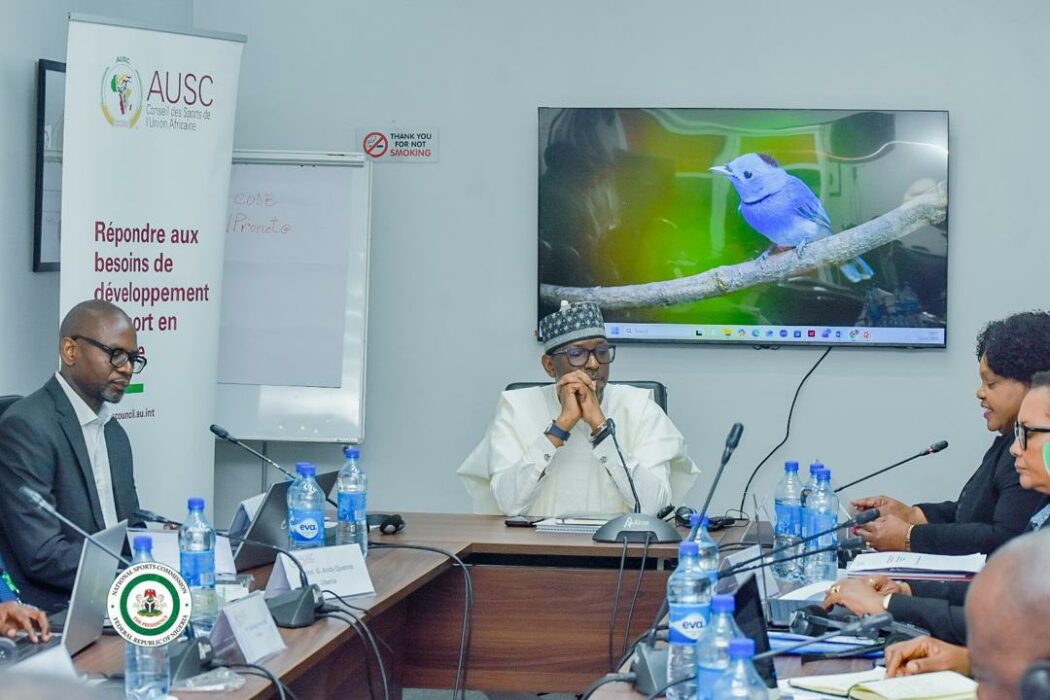 Nigeria Didn’t Lose 2030 Commonwealth Games On Infrastructure — Dikko