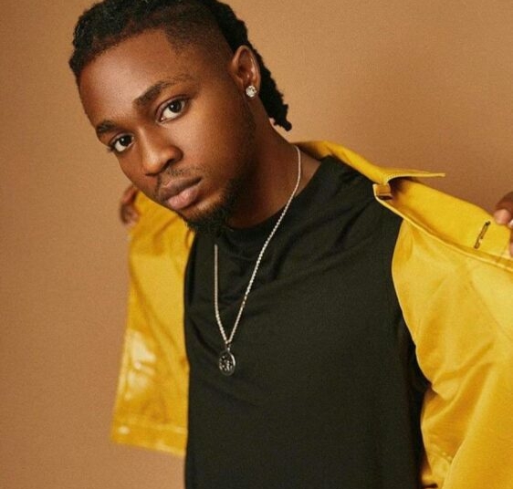 Omah Lay Claims He’s The Greatest Afrobeats Artiste ‘When It Comes To Art’ 1 WhatsApp Image 2026 04 14 at 4.51.56 PM