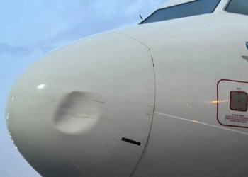 Again, United Nigeria Airlines Grounds Airbus After 6th Bird Strike In 3 Months