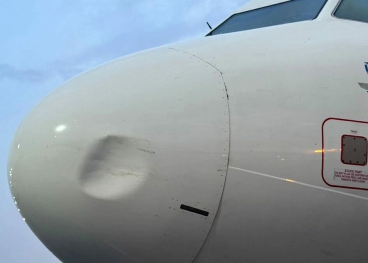 Again, United Nigeria Airlines Grounds Airbus After 6th Bird Strike In 3 Months 1 WhatsApp Image 2026 04 16 at 8.02.52 AM