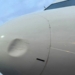 Again, United Nigeria Airlines Grounds Airbus After 6th Bird Strike In 3 Months 5 Again, United Nigeria Airlines Grounds Airbus After 6th Bird Strike In 3 Months
