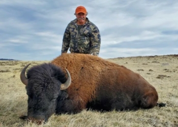 US Millionaire Trophy Hunter Trampled To Death By Elephants In Gabon