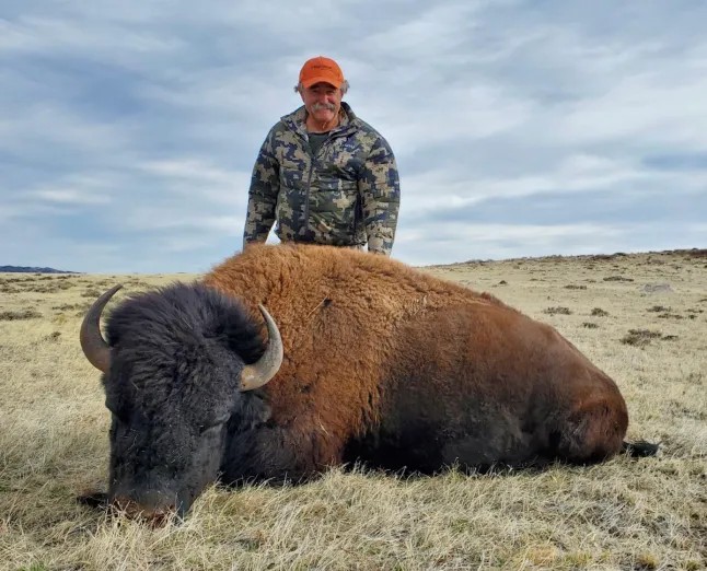 US Millionaire Trophy Hunter Trampled To Death By Elephants In Gabon