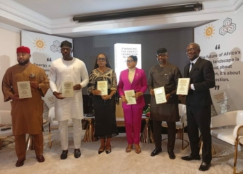 Experts Advocate Blended Finance For Energy Sector