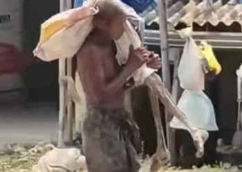 Indian Man Digs Up Sister’s Skeleton To Prove Death, Claim Savings